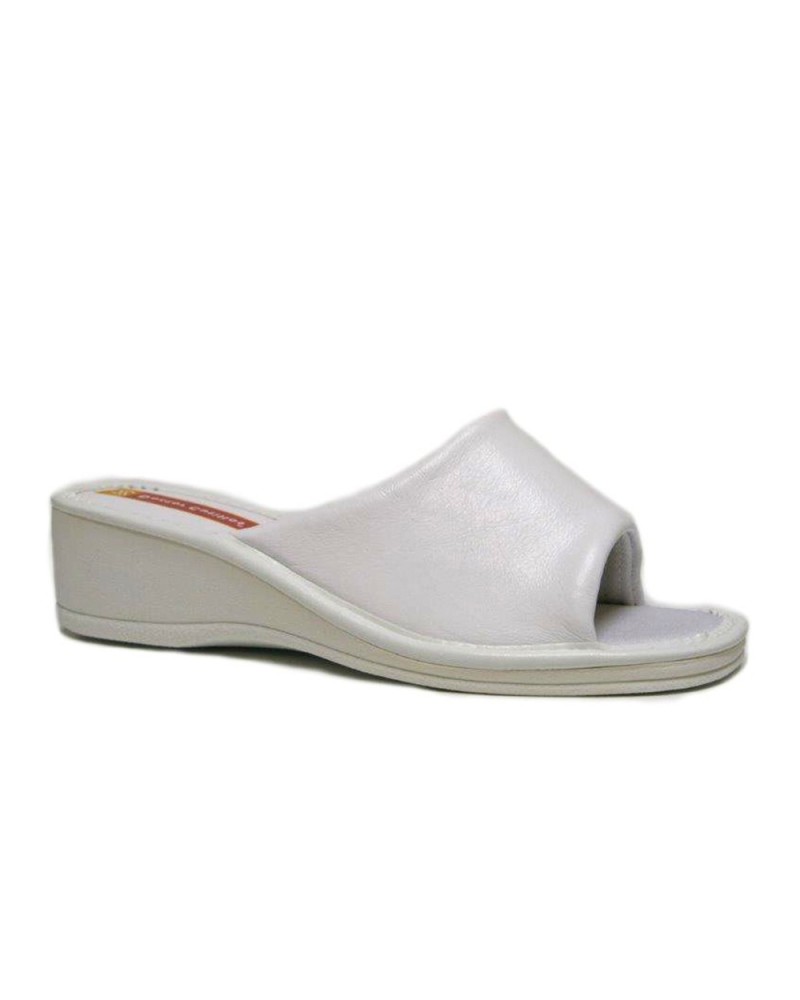 Zapato zueco 12601