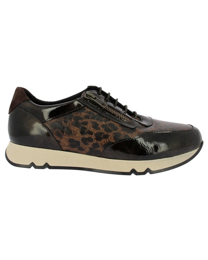 Esportes Doctor Cutillas 82834